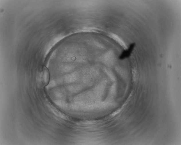 X0000078301260200611251500