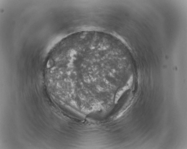 X0000078301263200611251500