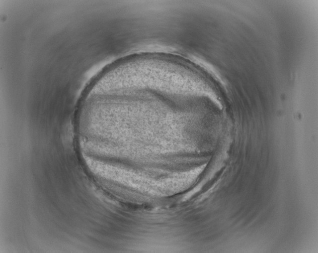 X0000078301264200611251459