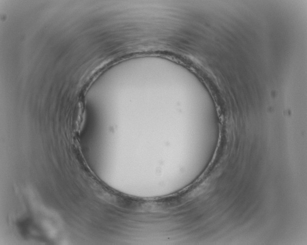 X0000078301265200611251459