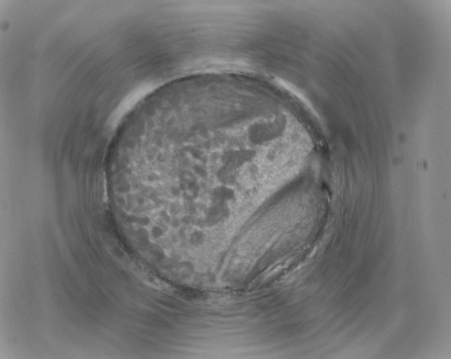 X0000078301267200611251459