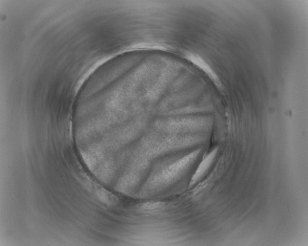 X0000078301268200611251459