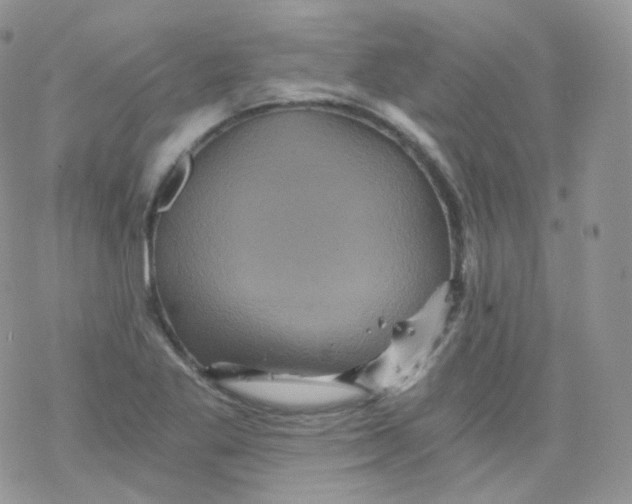 X0000078301269200611251459