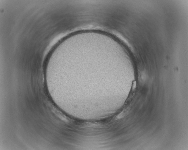 X0000078301270200611251459