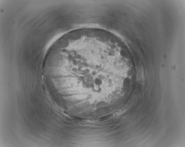 X0000078301271200611251459