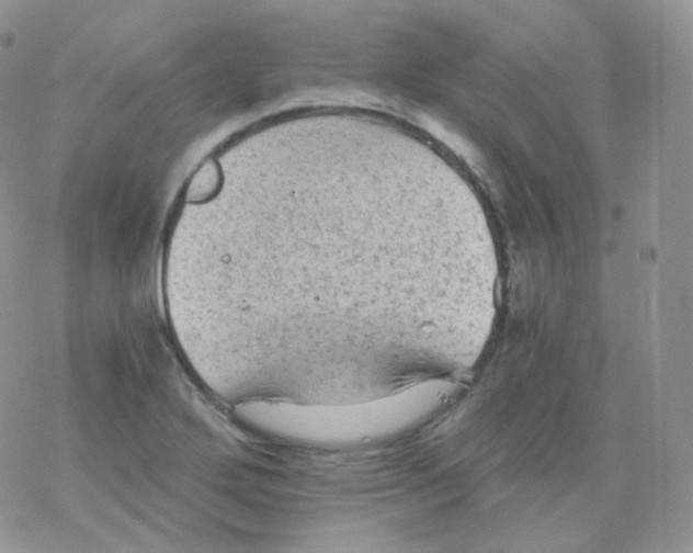 X0000078301272200611251459