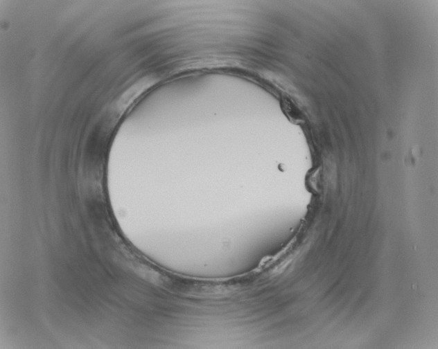 X0000078301273200611251459