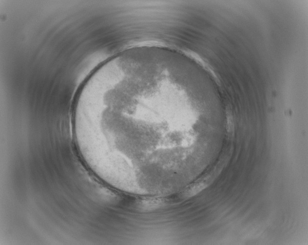 X0000078301274200611251459