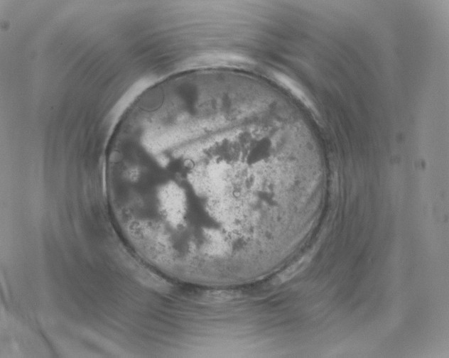 X0000078301275200611251459