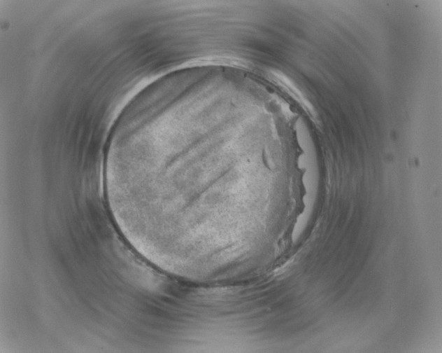 X0000078301276200611251459