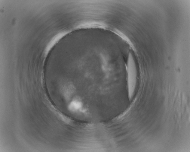 X0000078301277200611251459