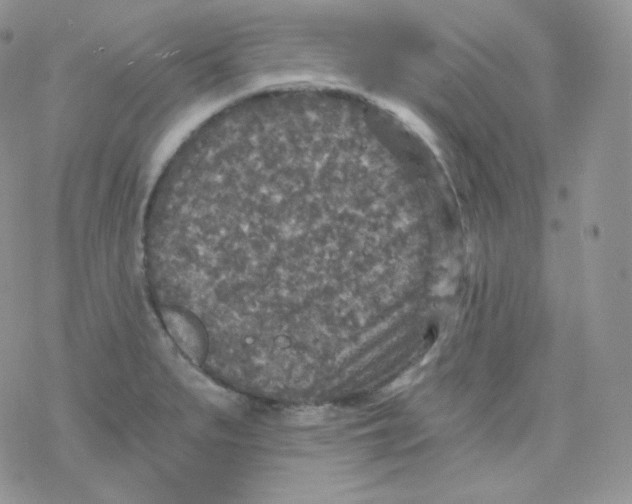 X0000078301279200611251459