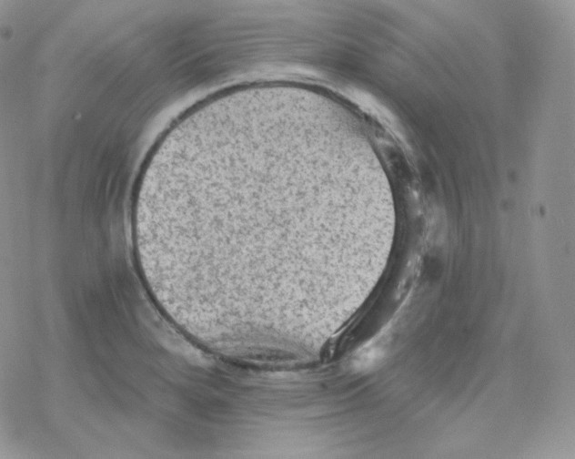 X0000078301280200611251459