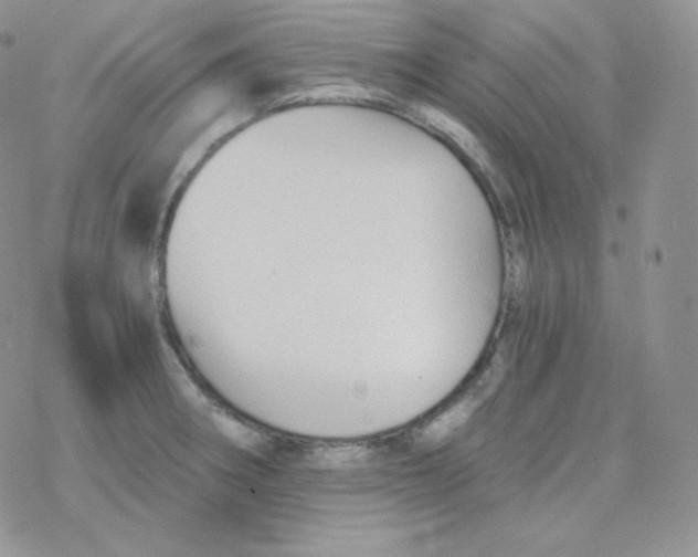 X0000078301282200611251459