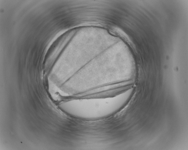 X0000078301284200611251459