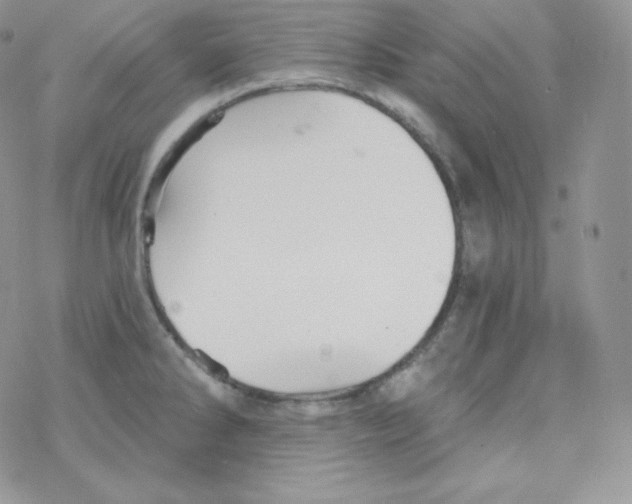 X0000078301286200611251459