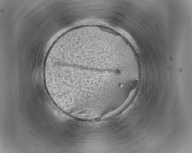 X0000078301288200611251459