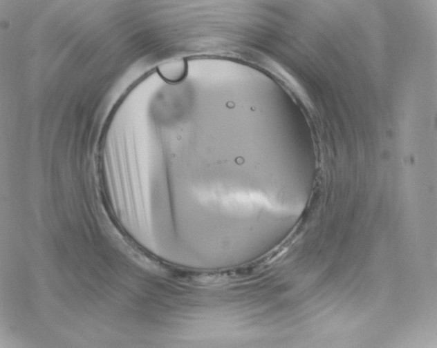 X0000078301291200611251459