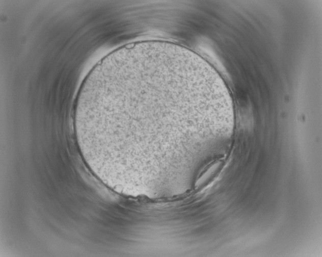 X0000078301292200611251459