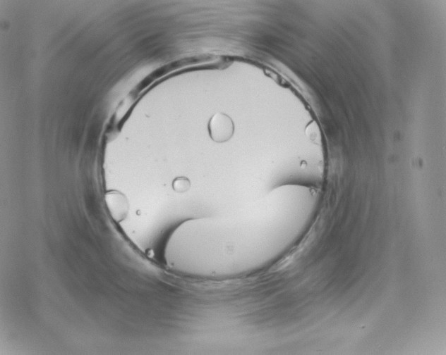 X0000078301293200611251459