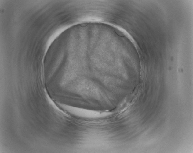 X0000078301295200611251459