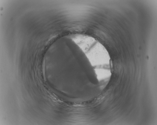 X0000078301297200611251458