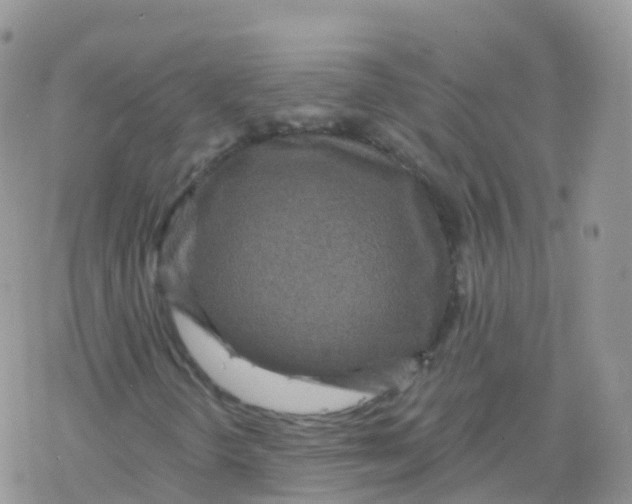 X0000078301298200611251458