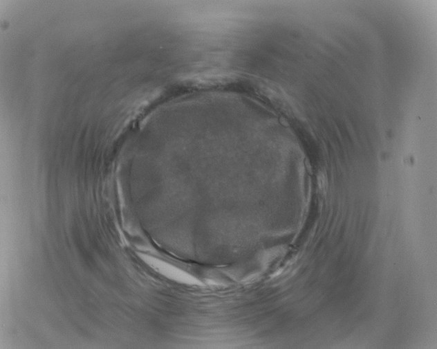 X0000078301300200611251458