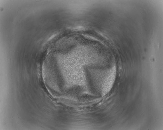 X0000078301301200611251458