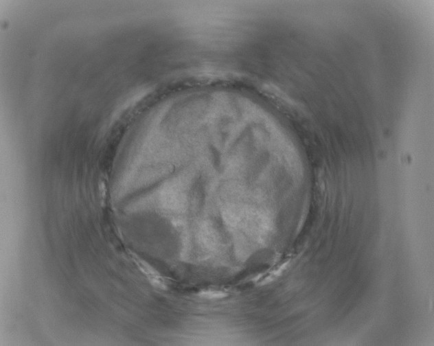 X0000078301302200611251458