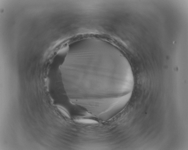 X0000078301303200611251458