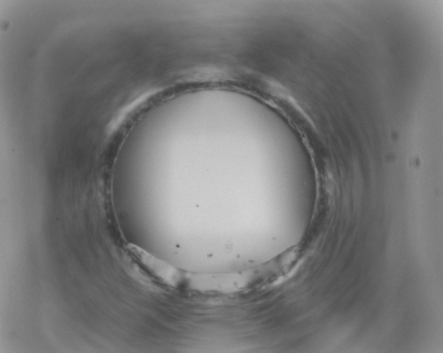 X0000078301304200611251458