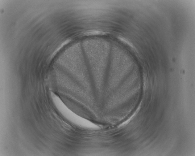 X0000078301305200611251458