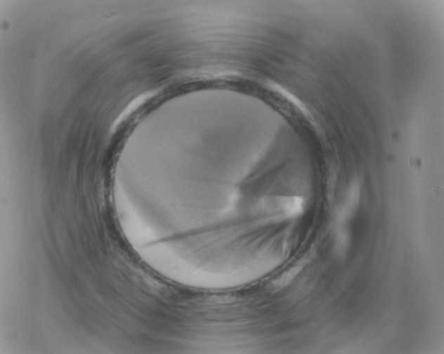 X0000078301306200611251458