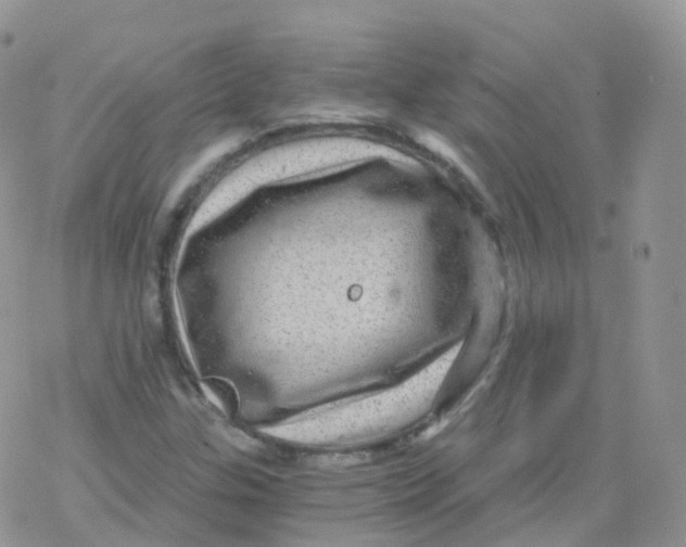 X0000078301307200611251458