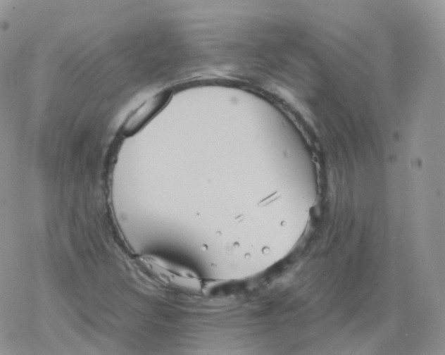 X0000078301308200611251458