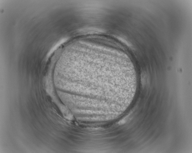 X0000078301309200611251458