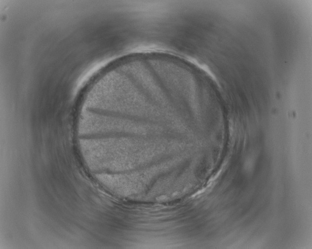 X0000078301311200611251458