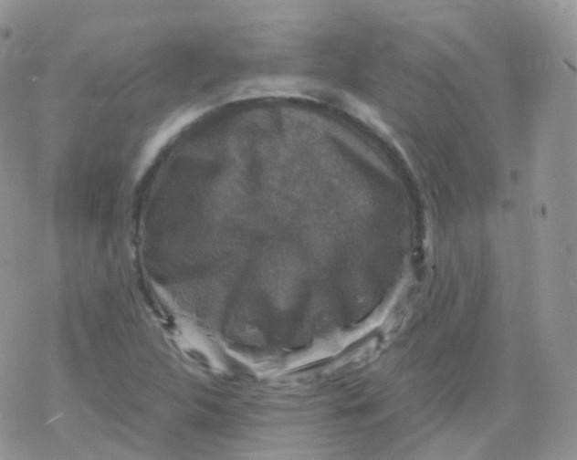 X0000078301312200611251458