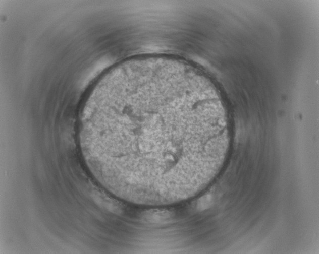 X0000078301314200611251458