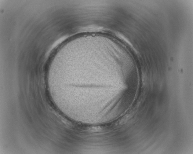 X0000078301315200611251458