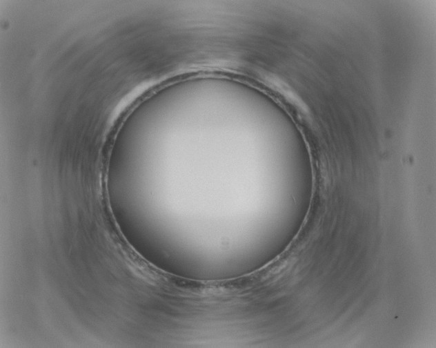 X0000078301316200611251459