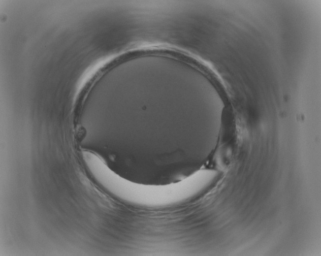 X0000078301319200611251459