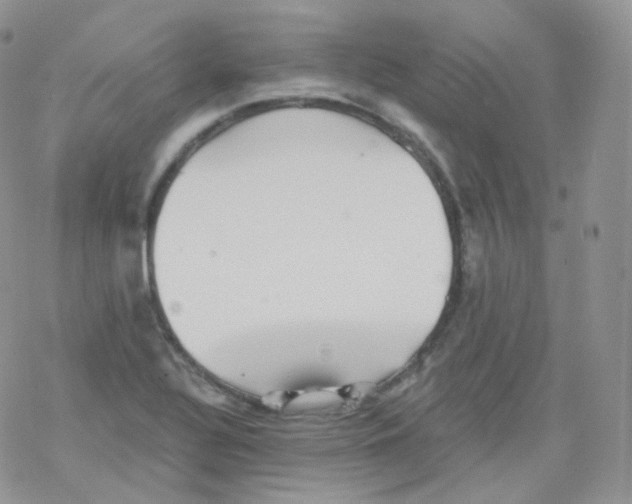 X0000078301320200611251459