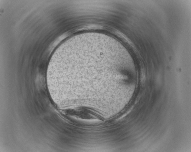 X0000078301321200611251459