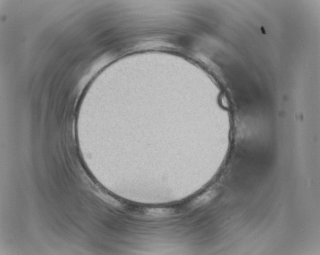 X0000078301322200611251459