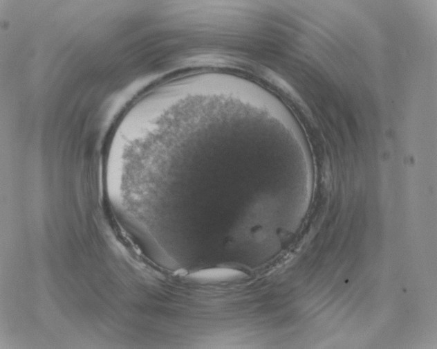 X0000078301323200611251459