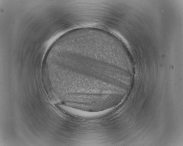 X0000078301324200611251459