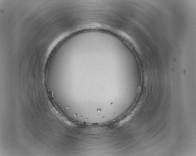 X0000078301326200611251459