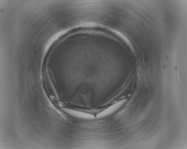 X0000078301327200611251459